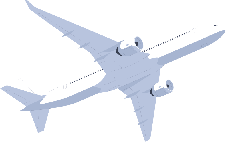 fly shape